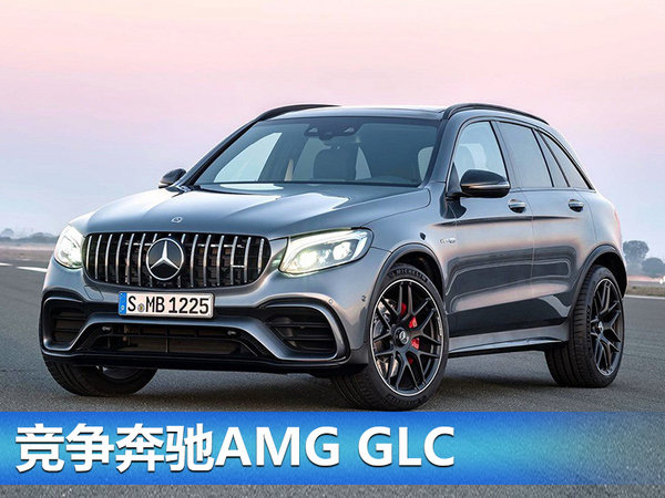 奧迪RS Q5將于九月亮相 搭2.9T發(fā)動機/4秒破百-圖4