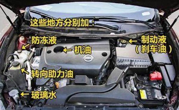 別被4S店坑了，老司機(jī)詳解各種油液更換周期