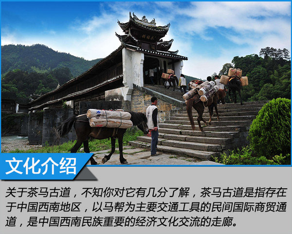 來自MG的征服之心 探尋茶馬古道文化之旅-圖4