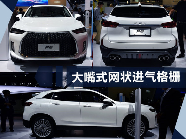 25款電動車即將上市 國產(chǎn)自主品牌占據(jù)7成-圖13
