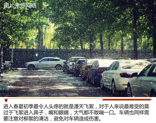 沙塵柳絮危害大 春夏季節(jié)車輛養(yǎng)護事項