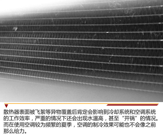 沙塵柳絮危害大 春夏季節(jié)車輛養(yǎng)護事項