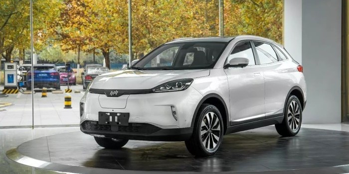 電量應(yīng)用最大化 威馬汽車交付數(shù)百臺(tái)EX5