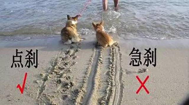 高速公路上開車最重要的這幾點你都知道嗎？