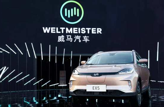 銷量，比亞迪，蔚來，新能源車銷量，比亞迪,6月汽車銷量,新能源汽車,威馬