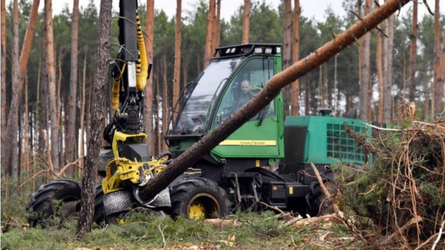 德國特別許可特斯拉提前開工 明年7月投產(chǎn)