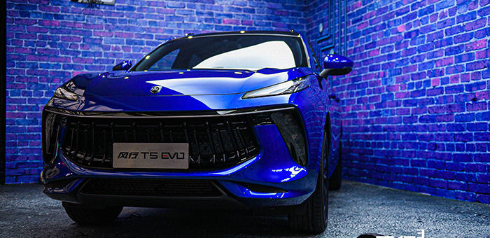 采用全新勁獅標 東風風行T5 EVO正式發(fā)布