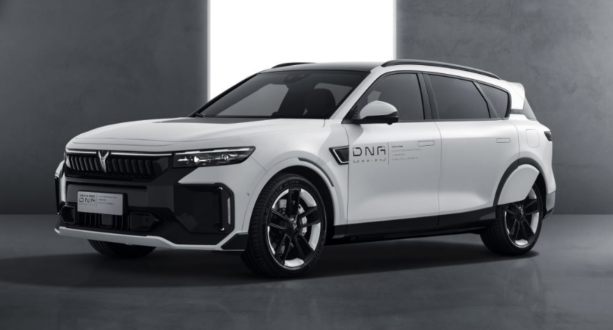 嵐圖發(fā)布個(gè)性化定制生態(tài) 將推多款定制版