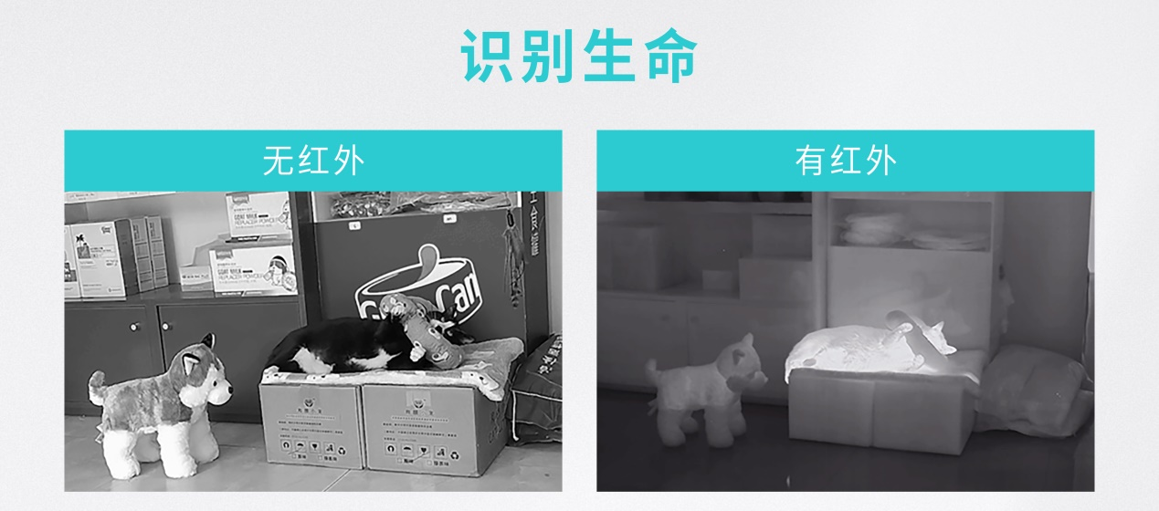 解密|全新一代星靈架構(gòu)如何實現(xiàn)安全智駕