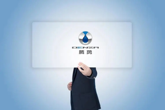 騰勢N9低偽裝諜照曝光